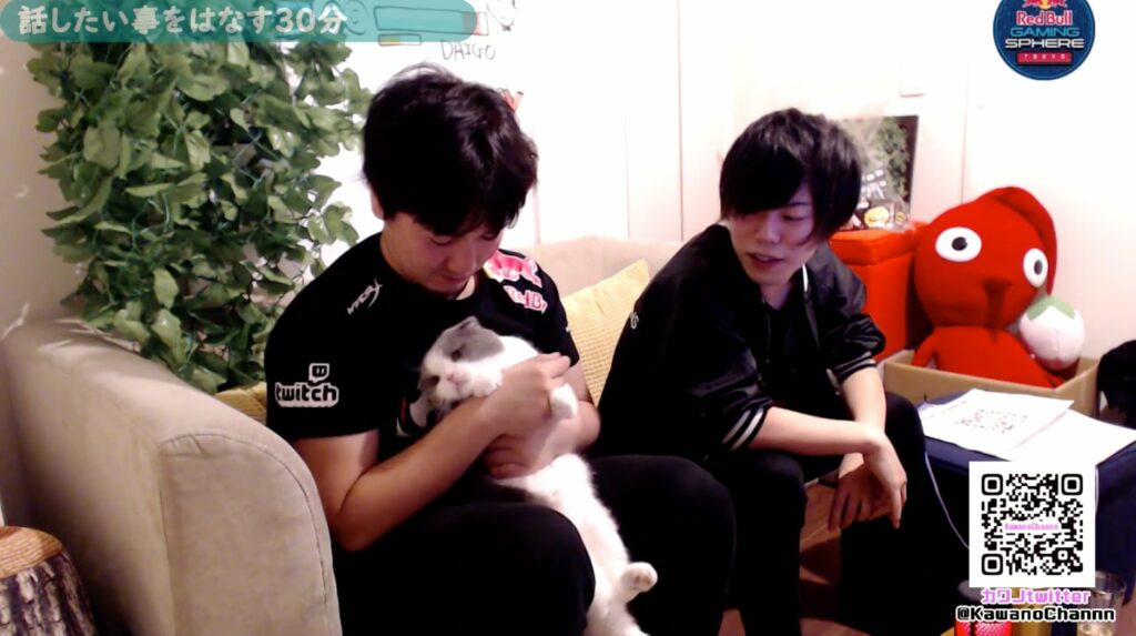 Meet the 5 most adorable pets from our favorite esports players Street Fighter, Umehara Daigo, UmeCat, pet cat