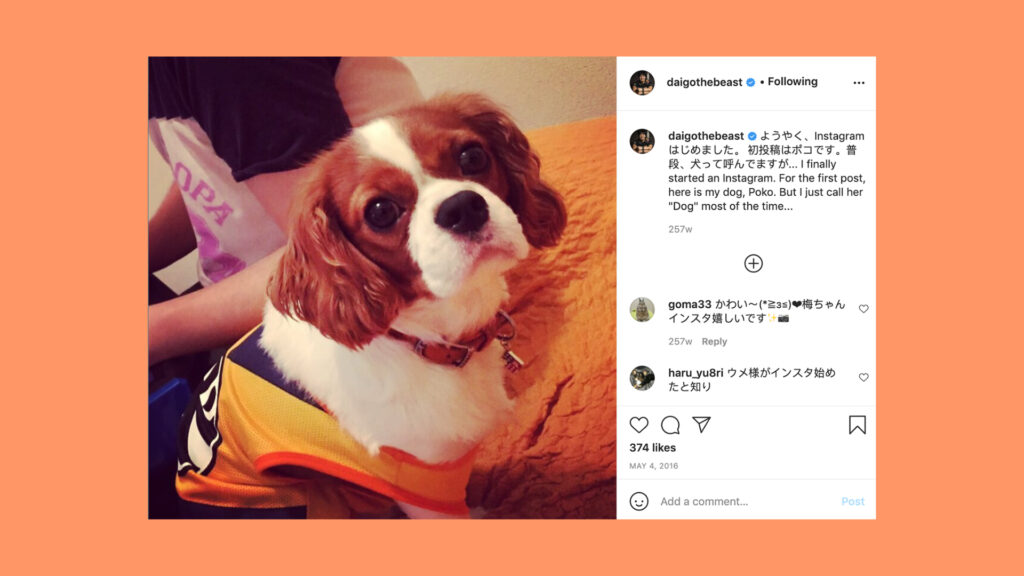 Meet the 5 most adorable pets from our favorite esports players Street Fighter, Poko, Daigo, dog, pet
